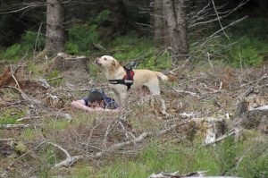 Search Dog Training